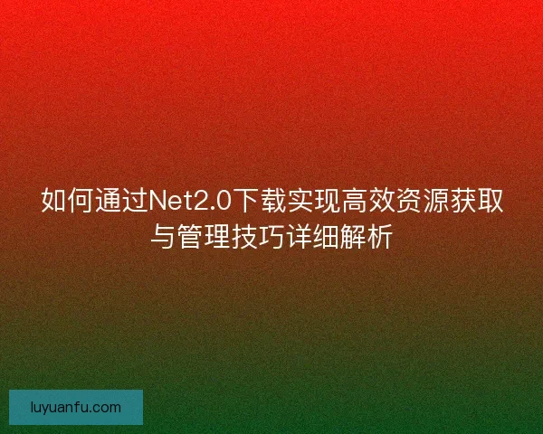 如何通过Net2.0下载实现高效资源获取与管理技巧详细解析