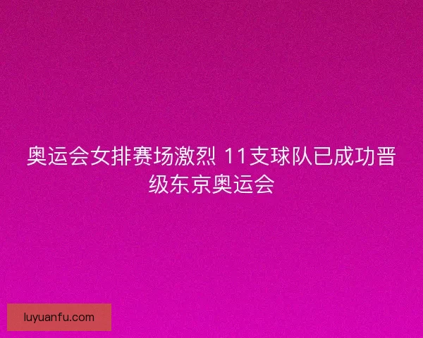 奥运会女排赛场激烈 11支球队已成功晋级东京奥运会 奥运会女排赛场激烈 11支球队已成功晋级东京奥运会