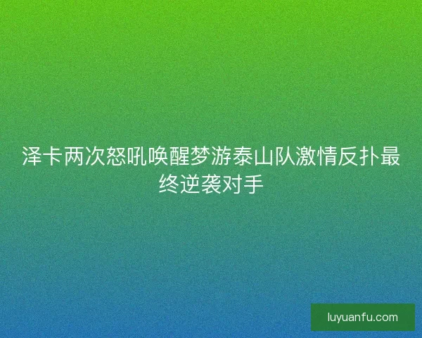 泽卡两次怒吼唤醒梦游泰山队激情反扑最终逆袭对手