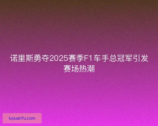 诺里斯勇夺2025赛季F1车手总冠军引发赛场热潮 诺里斯勇夺2025赛季F1车手总冠军引发赛场热潮